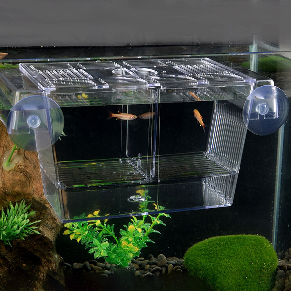 Incubateur ABS avec ventouses, fournitures pour animaux de compagnie, Aquarium, Mini maison, poisson clown, crevettes, Cage, boîte d&#39;élevage de poissons