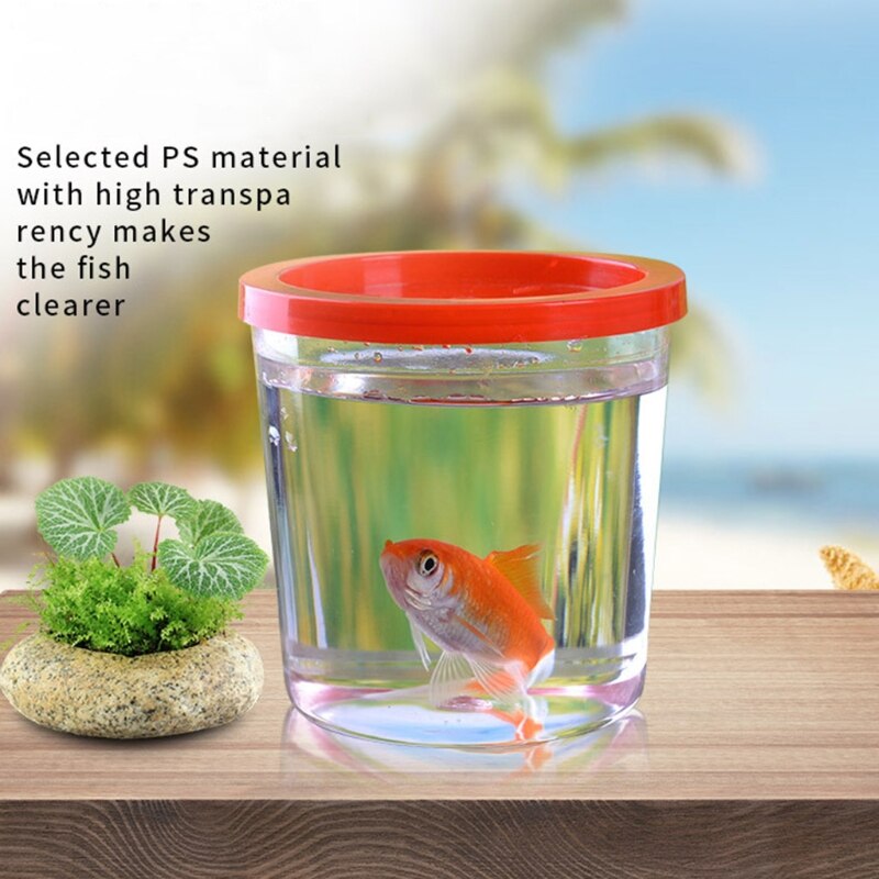 Mini pecera portátil de plástico, Pez transparente de acuario para tortuga Betta, Medusa, Kit de iniciación