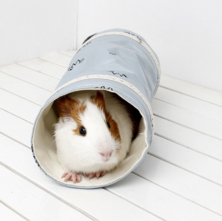 Tunnel cochon d'inde, Chinchilla, hérisson néerlandais, hamster, Cage, accessoires, Dragon barbu, petit Animal, jouet de lit pour animaux de compagnie: vert clair