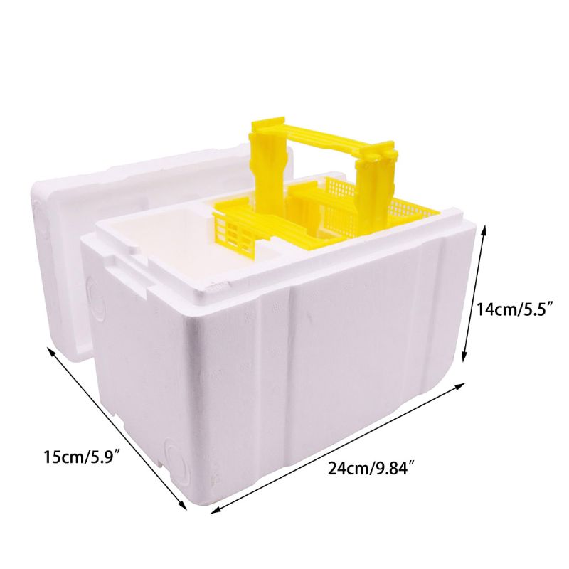 Bee Hive Beekeeping King Box Pollination Box Foam Frames Beekeeping Tool Kit