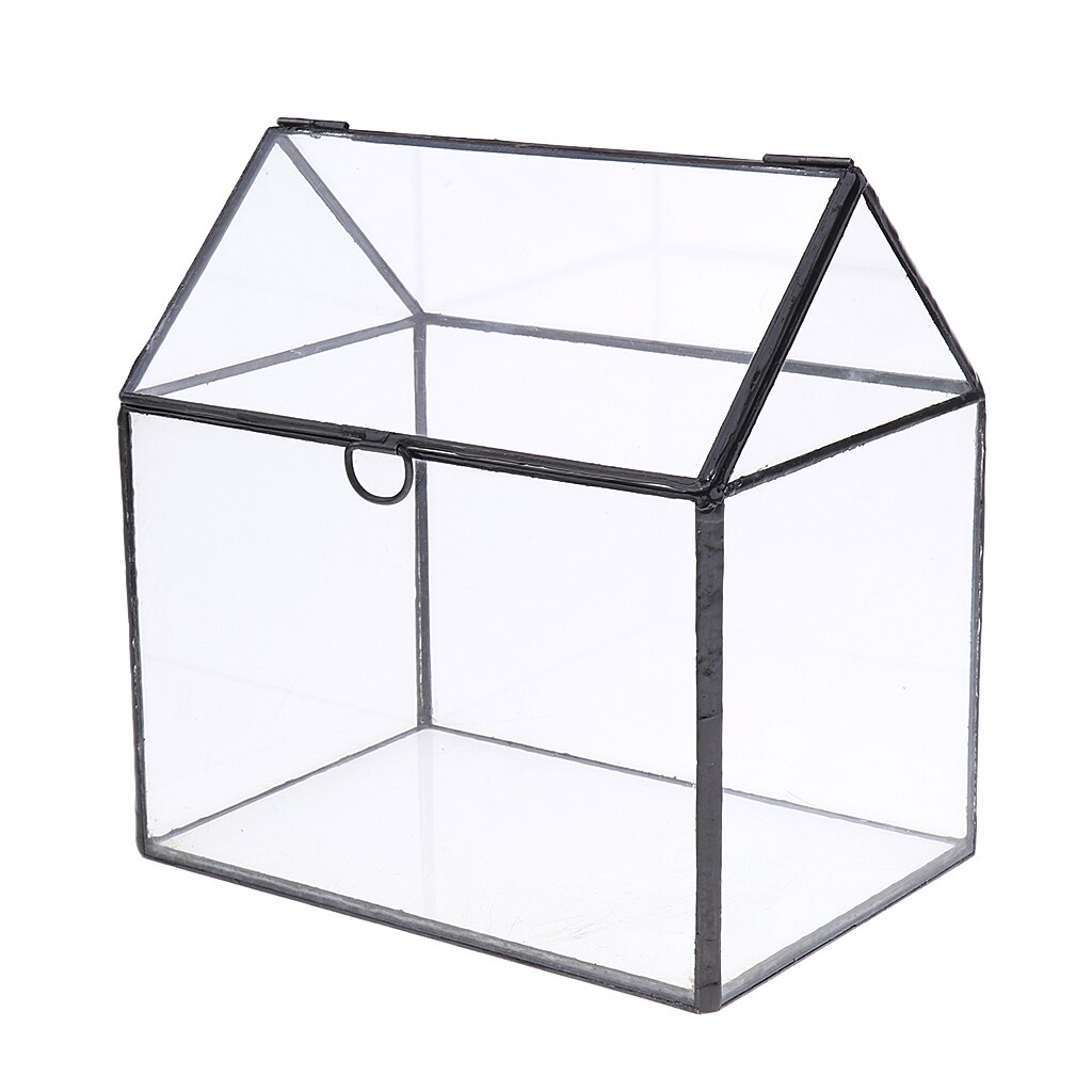 Onregelmatige Glas Geometrische Terrarium Box Vetplant Planter Kas Decor