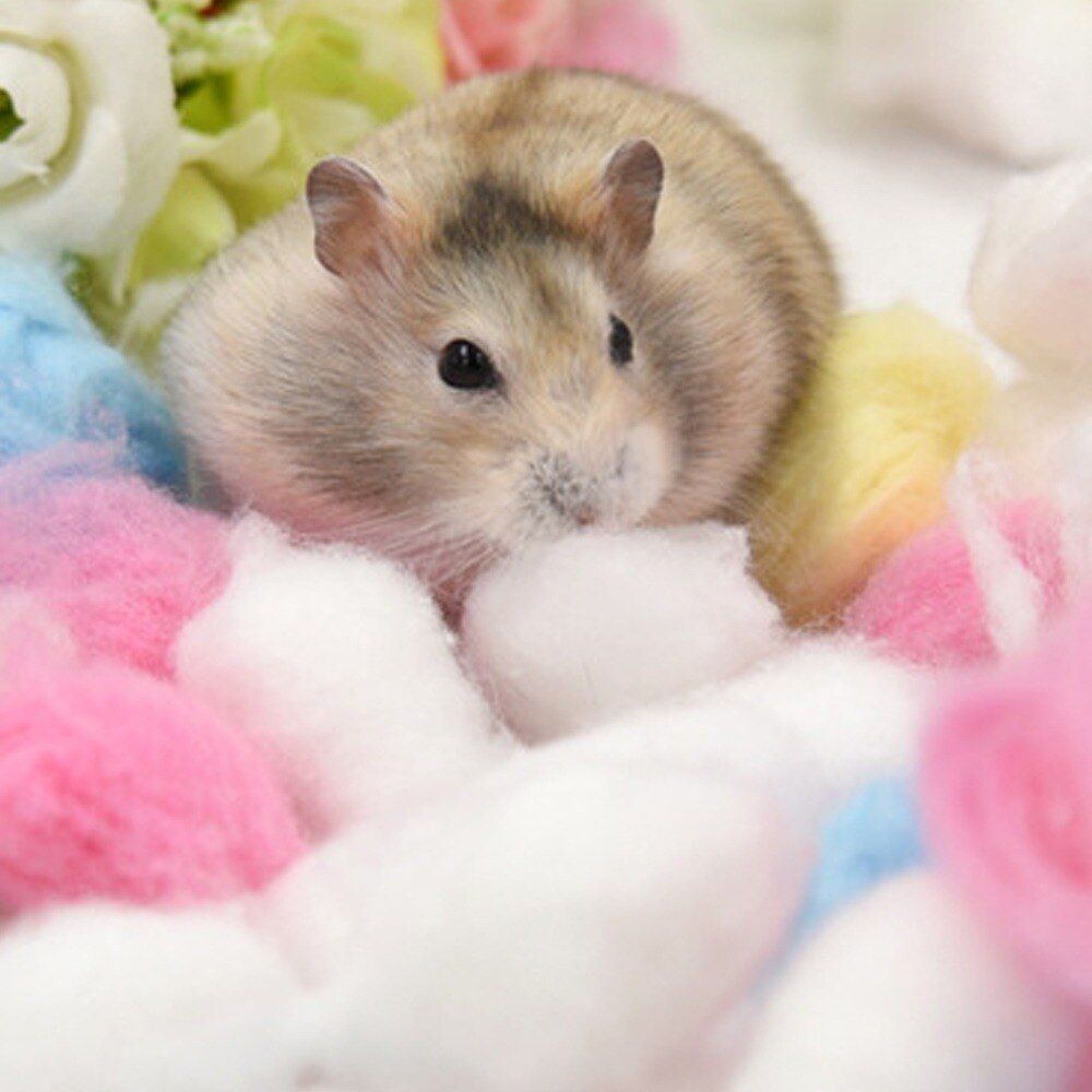 Soft Fleece For Hamster Mat Small Animals Bed for Cat Rats Pet Rabbit Warm Blanket Guinea Pig Sleeping Bed Hamster Accessories