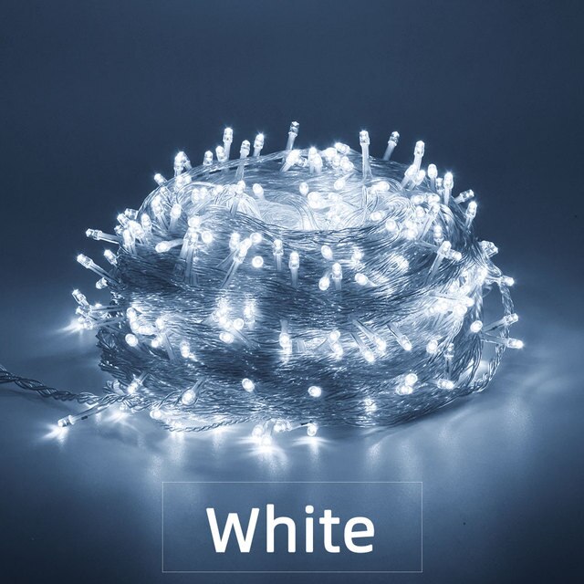 10M 20M 30M 50M 100M Festoon Led String Light Garland Year Christmas Light for Home Wedding Decoration Year Lamp: white / 10M 100Leds 220V EU
