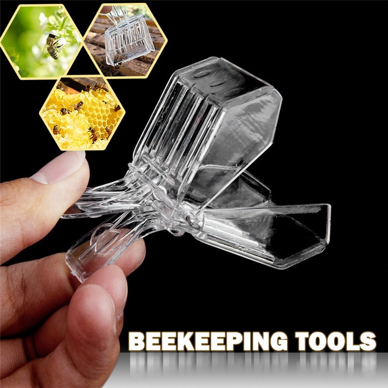 2Pcs Bee Queen Clip Plastic Beekeeping Queen Cage Catcher Beekeeper Tool Colorless Clips Plastic Bee Clip