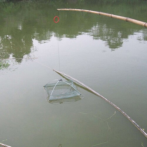 Red de pesca plegable, práctica trampa de cebos de malla, jaula de camarones y cangrejo fundido, artefactos para pescar