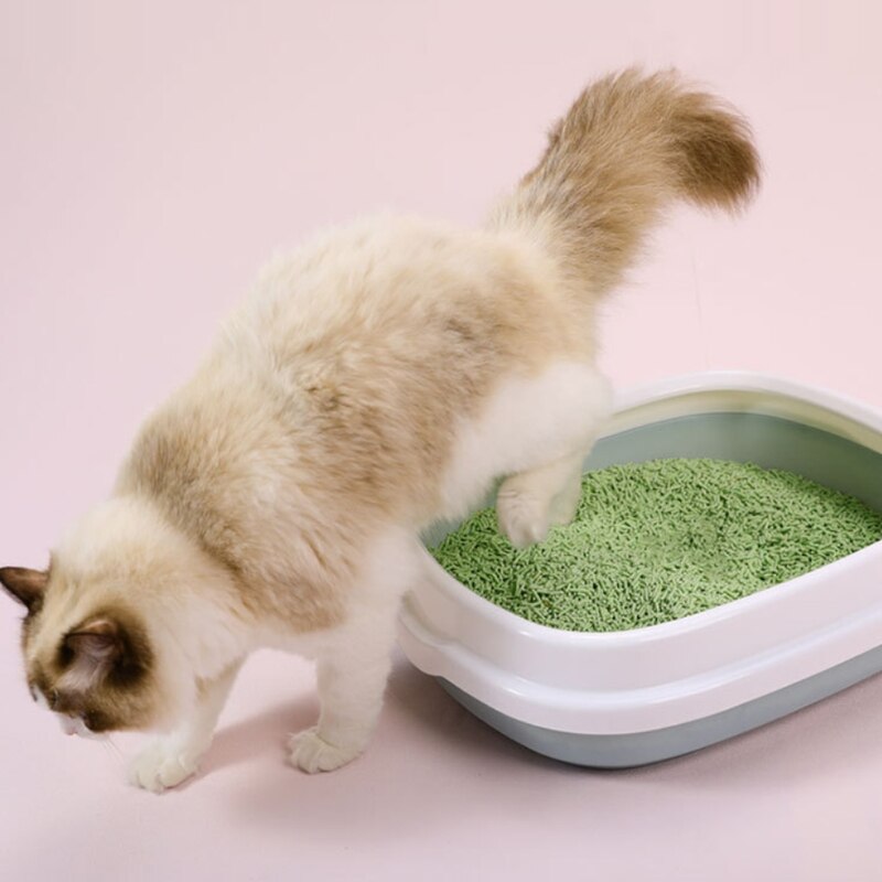 Pet Zone-caja de arena automática para gatos, dispositivo de limpieza con manos libres, funciona con aglutinado
