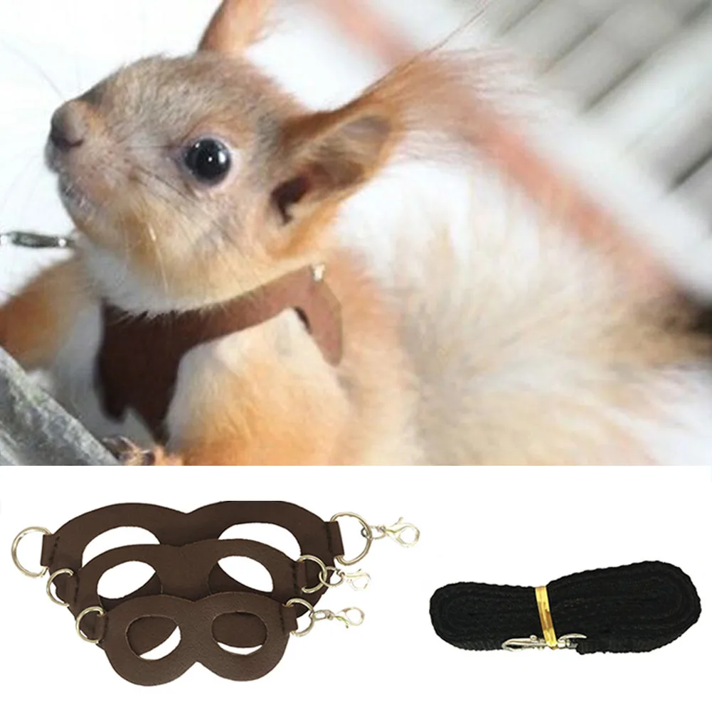 Hamster écureuil petit animal de compagnie sangle de poitrine laisse corde de Traction planeur de sucre corde de Traction extérieure petit animal de compagnie coupe-vent Anti perte corde