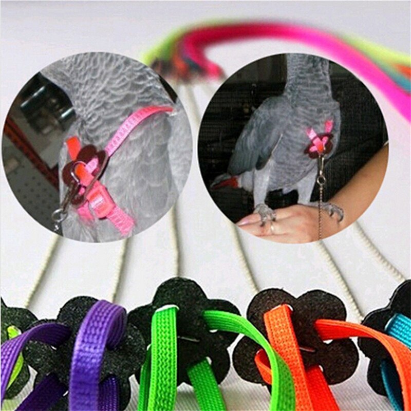 Bird Pet Traction Strap Cute Adjustable Anti-bite Flower Pattern Training Harness Tool