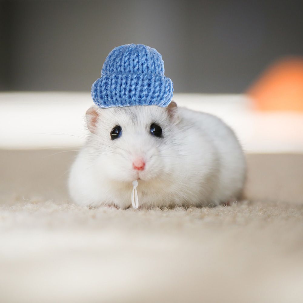 2PCS Small Animal Outfit Suit Cosplay Hamster Hat and Guinea Pig Hat for Rats Sugar Glider Chinchilla Ferret Hedgehogs Pet Hats