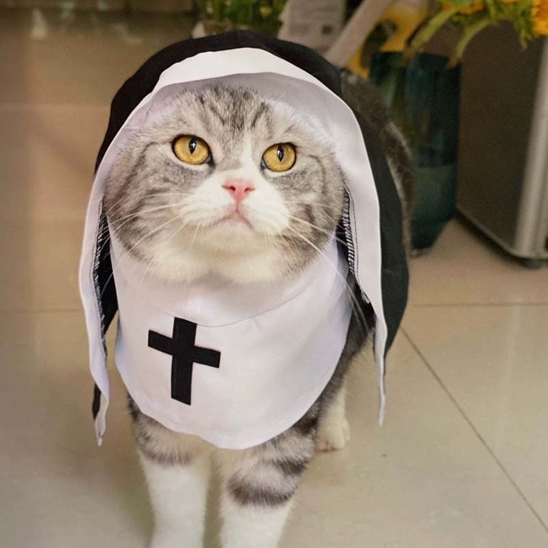 Disfraz de monja y gato, ropa para mascotas, ropa para perros pequeños, transpirable, divertido, , Festival, accesorios para fotos, accesorios para perros