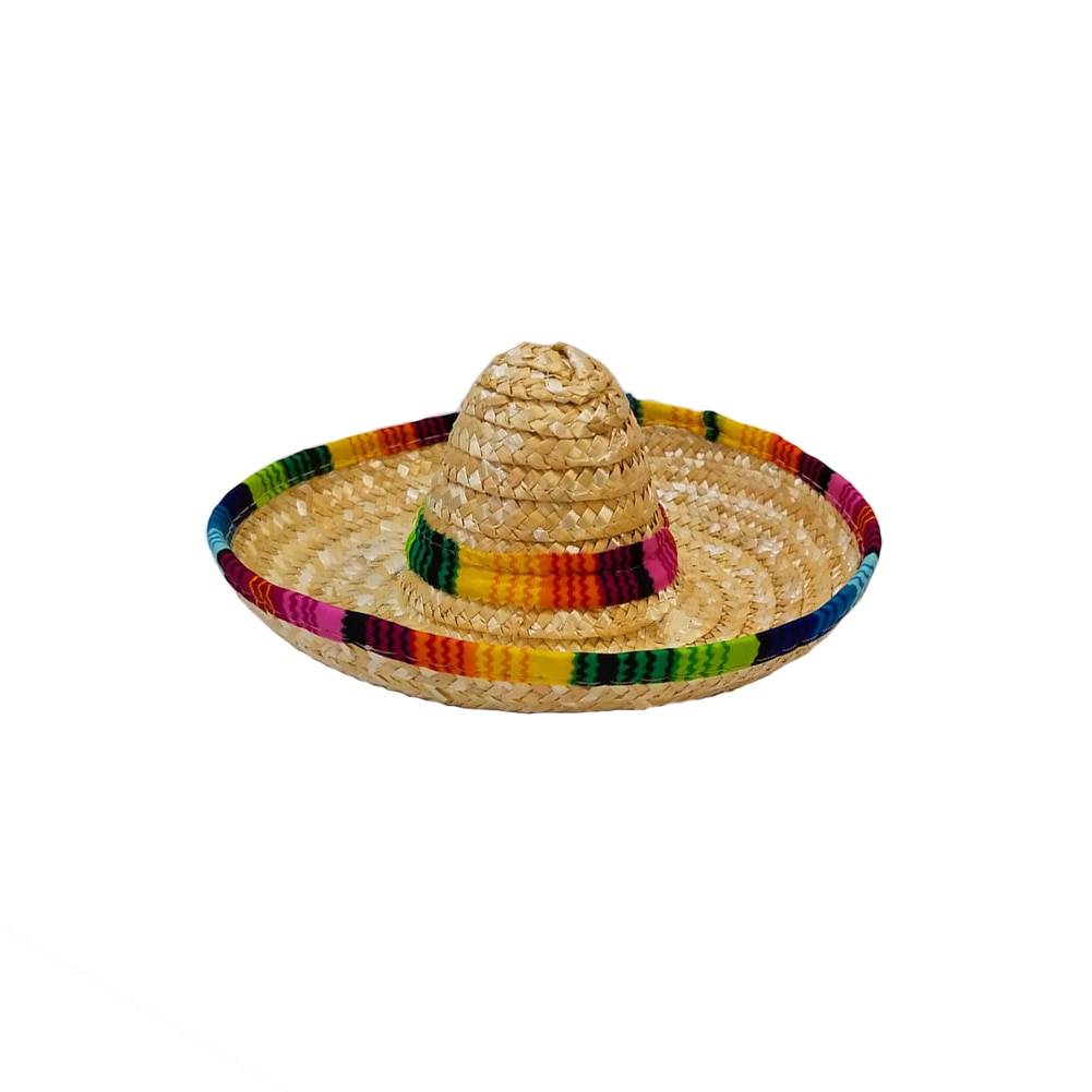 Verjaardag Decoratie Mexicaanse Stijl Duurzaam Speelgoed Milieuvriendelijke Hond Cap Desktop Kleurrijke Randen Mini Stro Hoeden Partij Accessoire