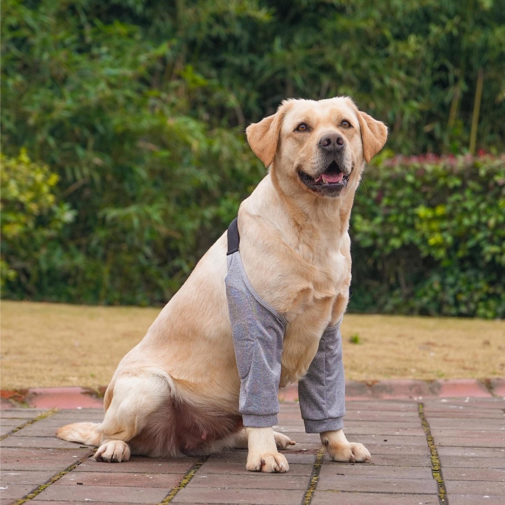 Cartoon Pattern Dog Elbow Sleeves Soft Brace Dog Elbow Protector Shoulder Support Cotton Pet Knee Pads for Elbow Brace: M / black