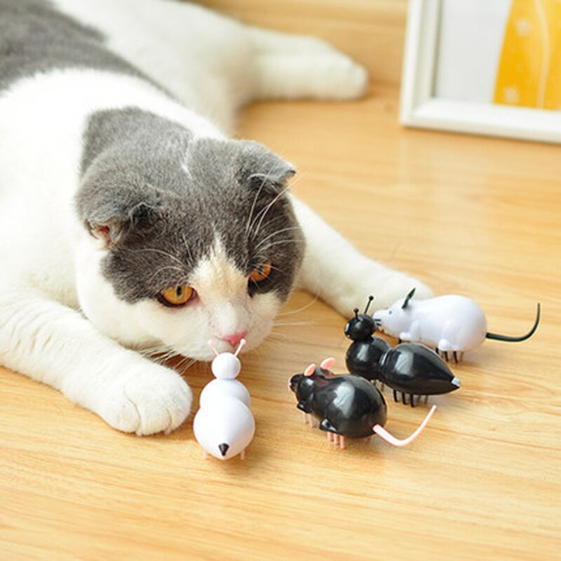 [MPK Store] Battery Operated Cat Toy, Black Ant/Mouse, White Ant/Mouse, Electric Fast Moving Toy, Cats-go-crazy Toy Series