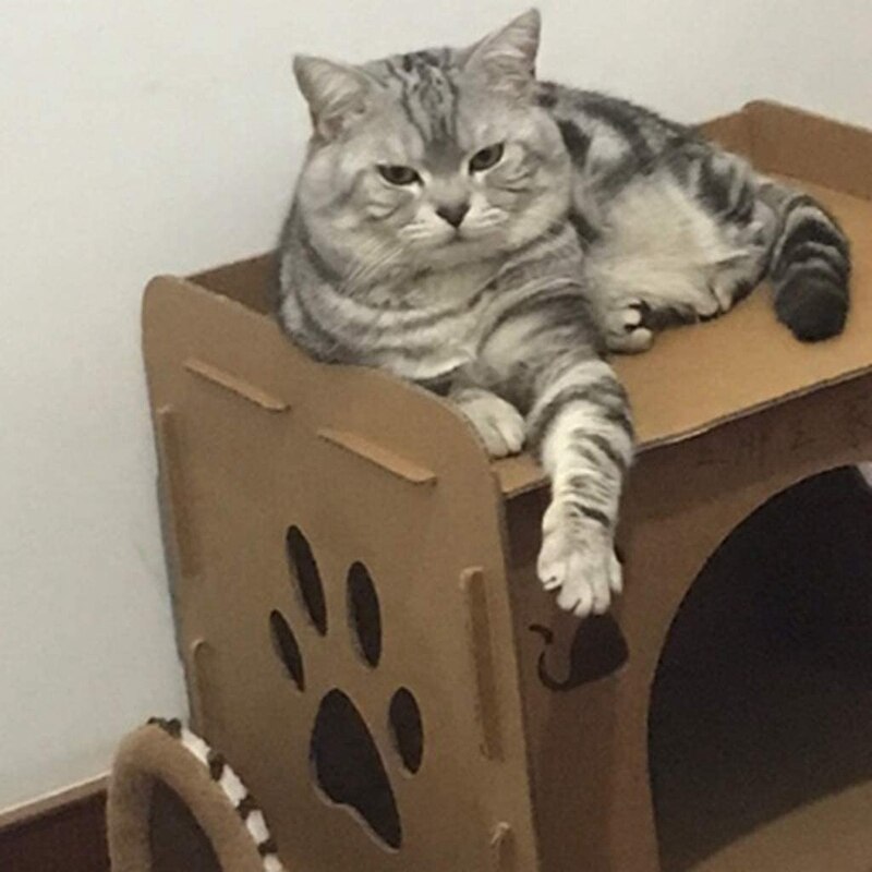 Casa de gato gatito en forma de casa nido cartón corrugado cama gato cosquillas