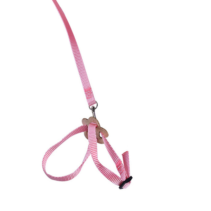 Harnais d'entraînement pour oiseaux, laisse pour oiseaux, réglable en plein air, corde, produits pour animaux de compagnie, entraînement, perroquet coloré, fournitures pour oiseaux: Pink