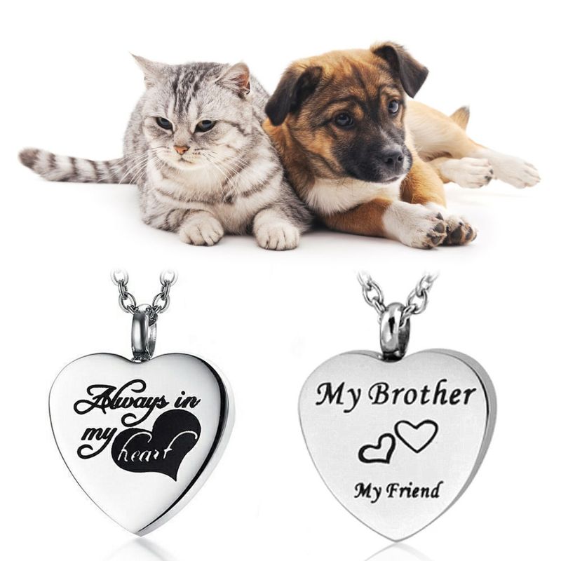Pet cremação urnas colar de aço inoxidável cão cinza memorial recipiente pingente gxma