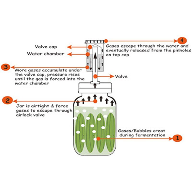 Wide Mouth Mason Jar Set Wirh Fermentation Lid and Airlock Household Kitchen Supplies