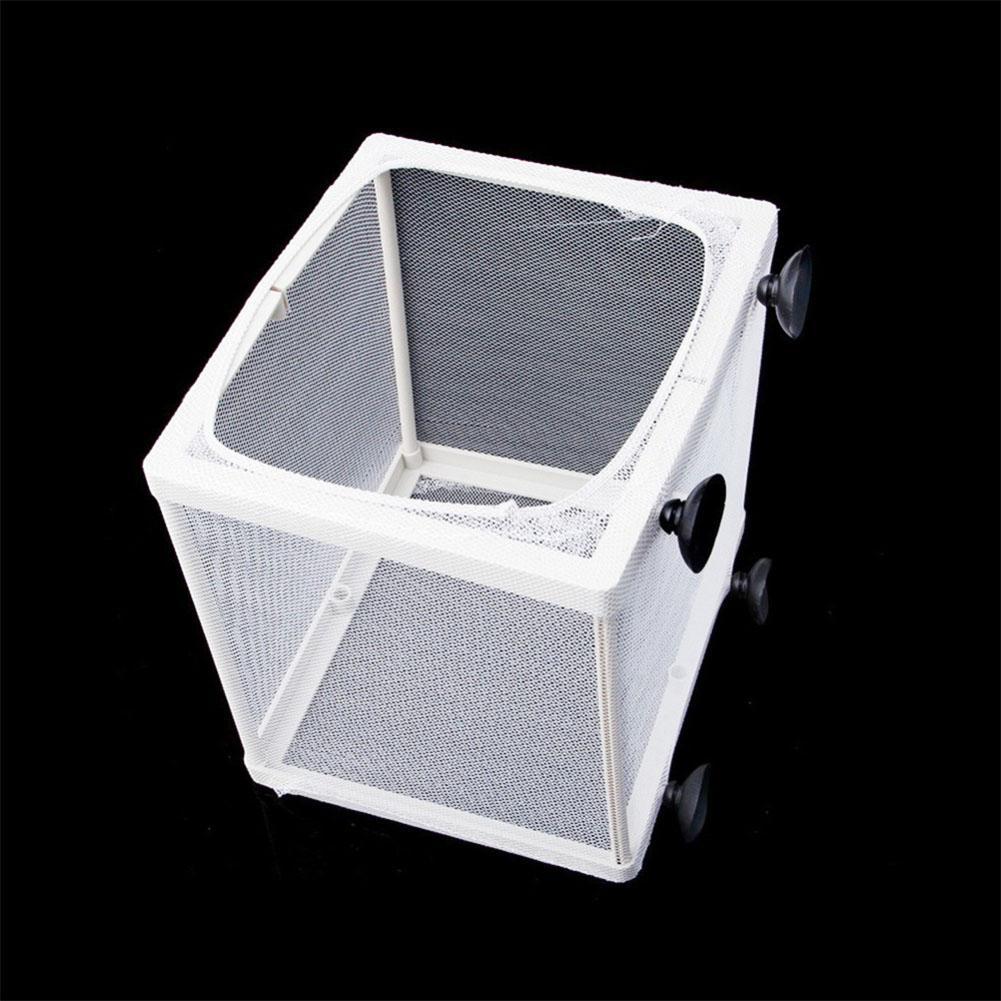 Aquarium Fish Breeding Isolation Mesh Box Net Incubator Breeder for Fish Tank Aquarium Accessory: Small