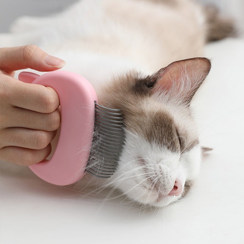 Kattkammar skötselmassageborste för kattunge kitty flytande hårborttagningskam med skalform kattvårdstillbehör