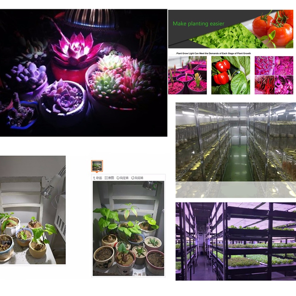 Cree cxa 2590 e27 fuld spektrum cob led vokse lys lampe indendørs telt plantevækst hydroponics belysning plante veg bloom