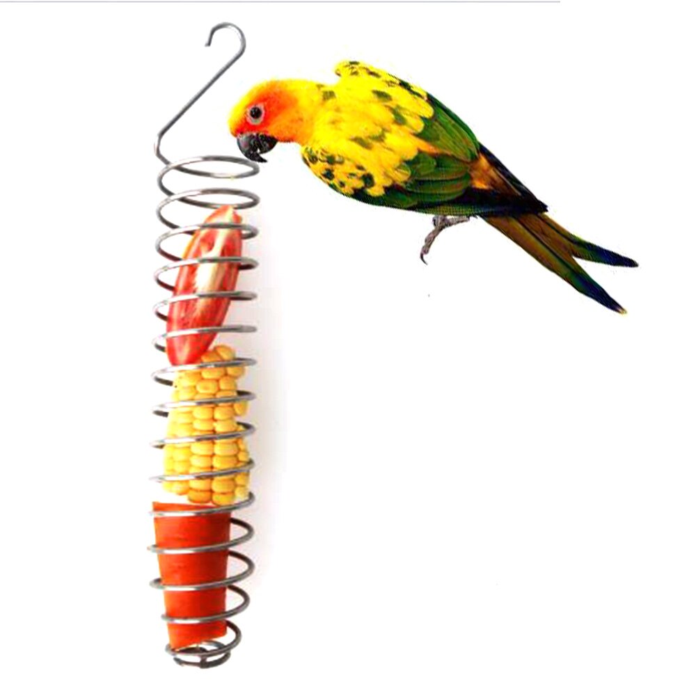 Panier à aliments pour perroquet | Mangeoire en acier inoxydable pour oiseaux, mettre les fruits, légumes Millet pour oiseaux