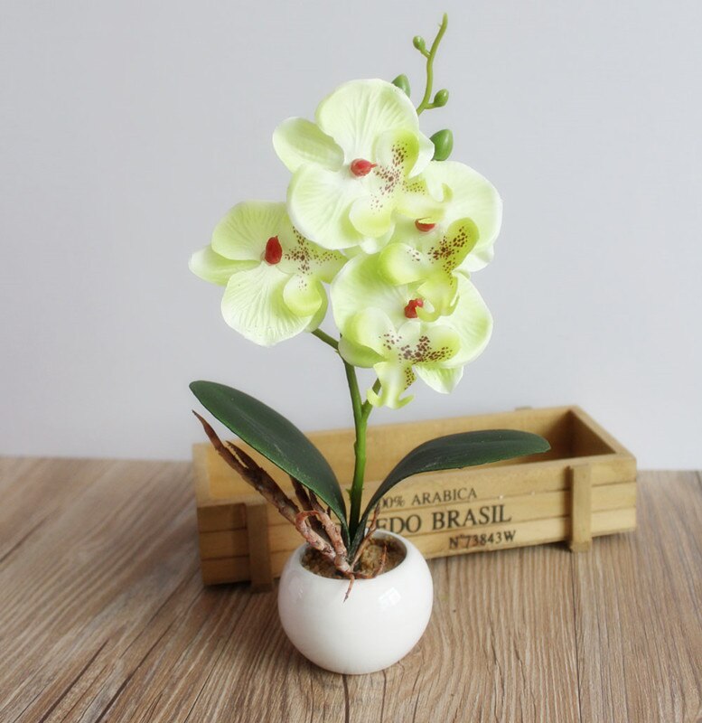 Arranjo com Vaso Decorativo Artificial Bonsai Flor Da Orquídea Phaleanopsis: D