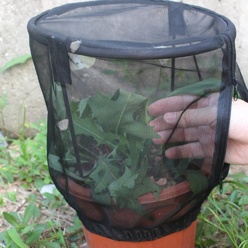 Pot de fleurs Portable Terrarium pour enfants | Cage d'habitat papillon, filet d'alimentation pour insectes, couverture de levage de jardin, plante ornementale, parasol