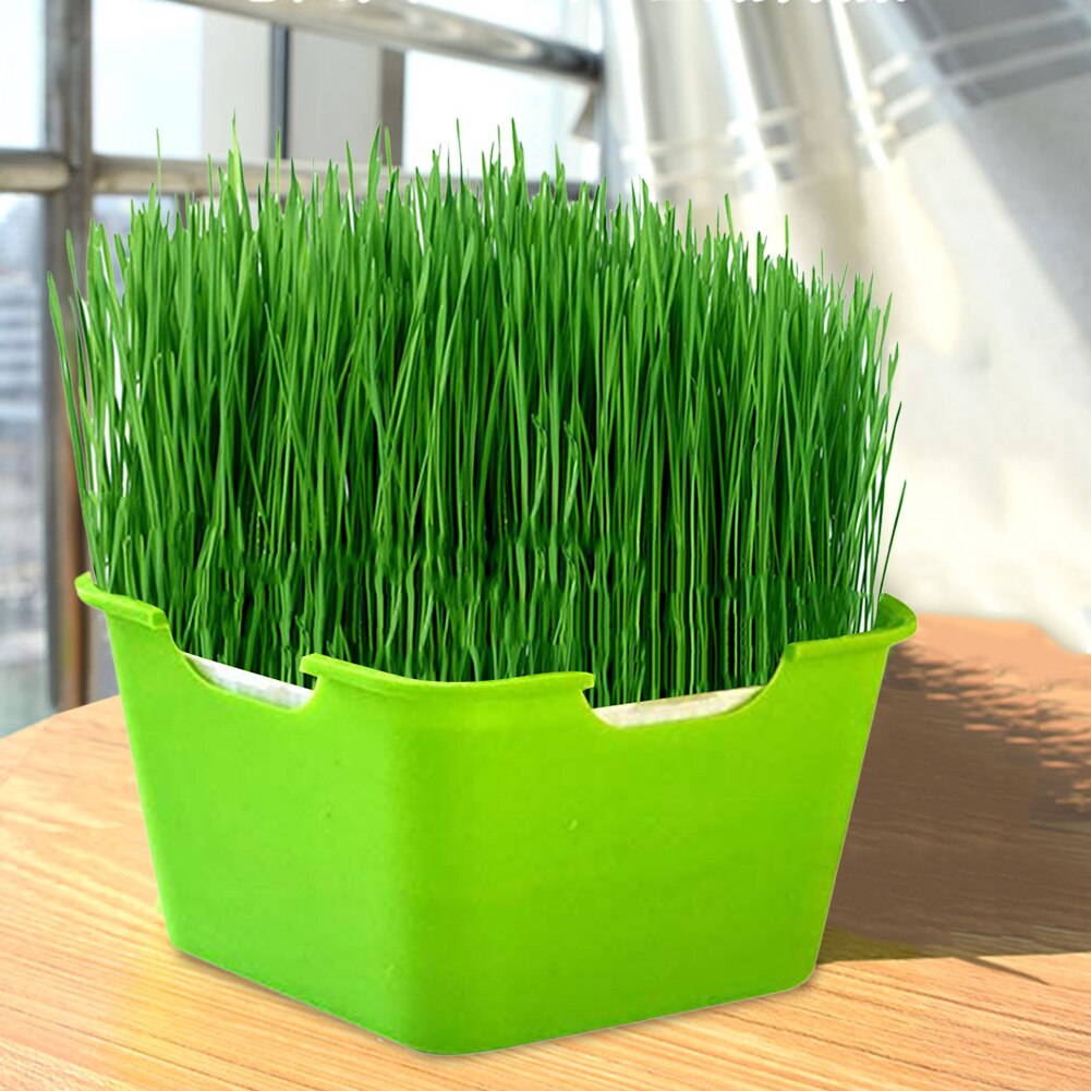 Bandeja para germinación de plantas, caja de plástico portátil a prueba de humedad para plantación de vivero, bandeja de semillas de brotes multifuncional