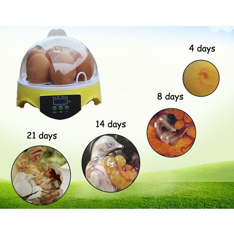 Mini 7 æg rugemaskine fjerkræ rugeri maskine automatisk ruger digital temperatur kontrol luge til kylling and fugle vagtler