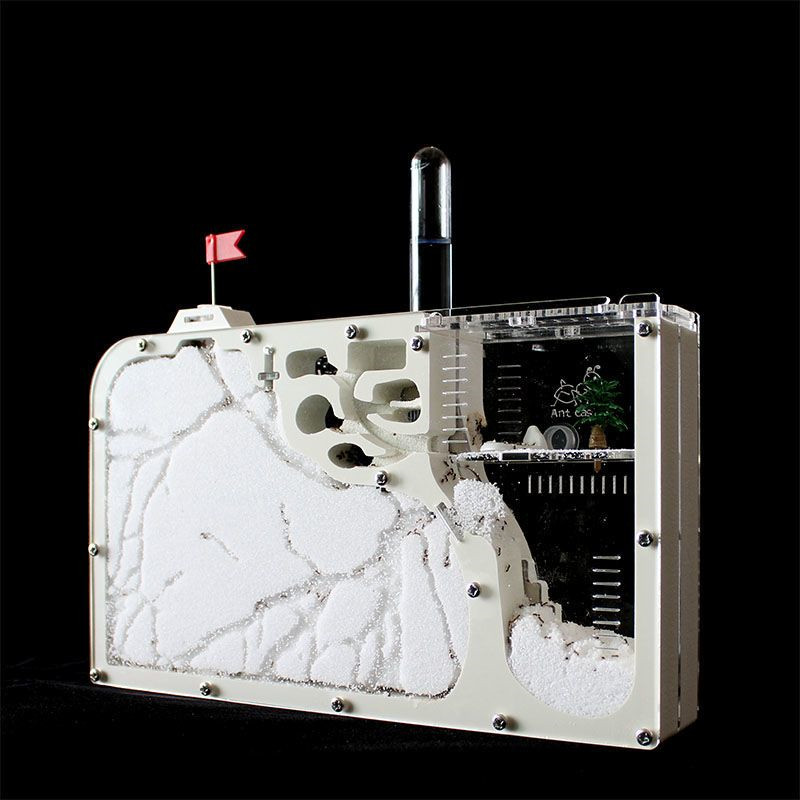 Big Formicarium Ant Nest ,ant Farm Acrylic Insect Ants House Ecological Workshop Reptile Home