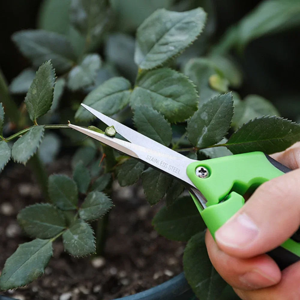 Tijeras de jardinería de 6,5 pulgadas, podadora manual, tijeras de podar, tijeras de recorte con codo recto, cuchillas de acero inoxidable para plantas