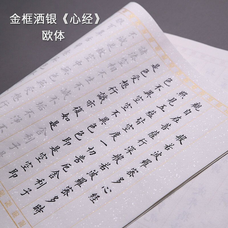 Copybook Chinese Brush Calligraphy Copybook 10sheets Multipel Type Adult Beginner Chinese Regular Script Calligraphy Copybooks