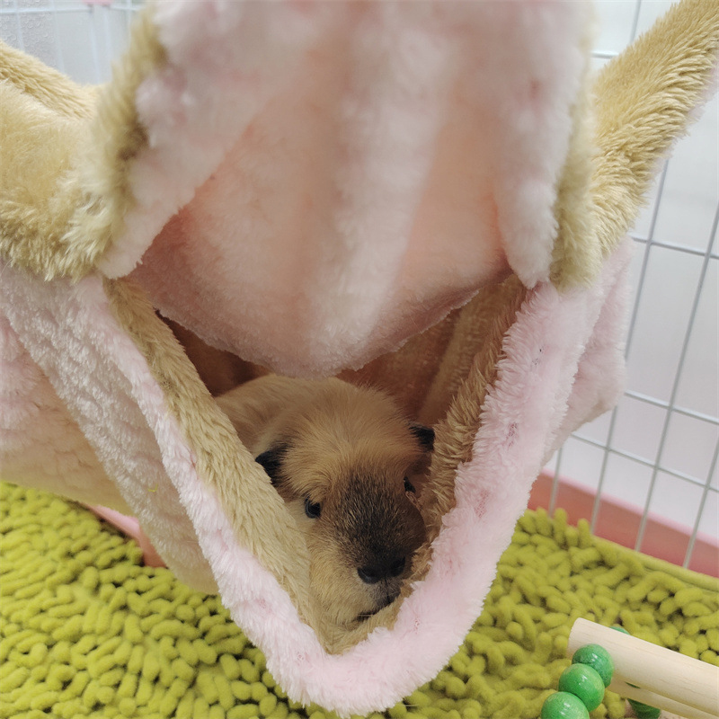 Winter-Hängematte für Ratten, warmes Bett, doppellagig, dicker Plüsch, Hamster, Chinchilla, Haus, Nest, Schlafsack, hängender Baum, Meerschweinchen-KäFeige