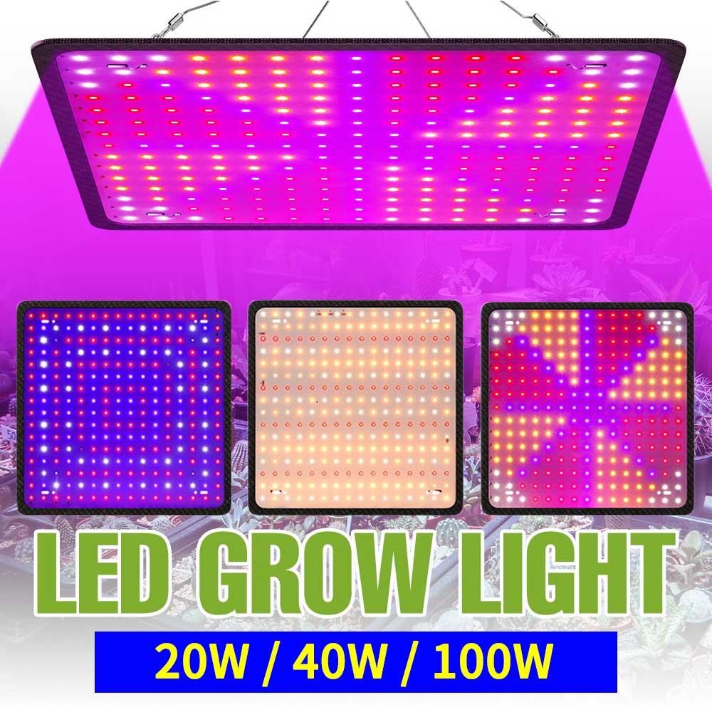 Pflanzenwachstumslichter, LED-Vollspektrum-Quantum-Gremium-Lampe, Blumen Ich bin Innenbereich, Gewächshaus, Gemüseanbau, Hydrokultur, Wachstumslicht