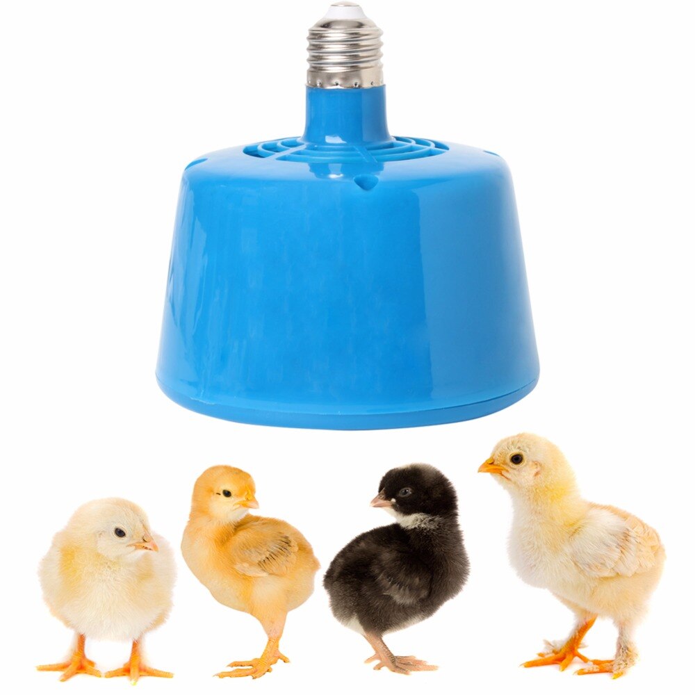 Lampe chauffante C42 pour animaux de compagnie, ampoule 220V 100-300W, pour le bétail, les poules, les poules, les poules, fourniture animale