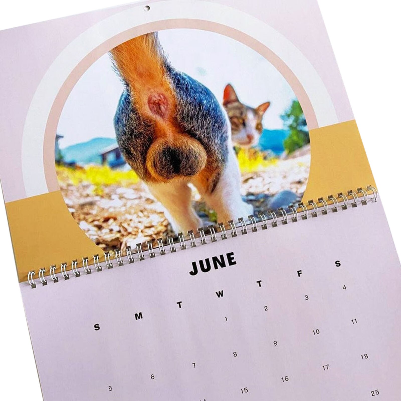 2022 Katten Patroon Kalender Rechthoek Muur Kalender Voor Thuis En Kantoor Maandelijkse 21*30Cm