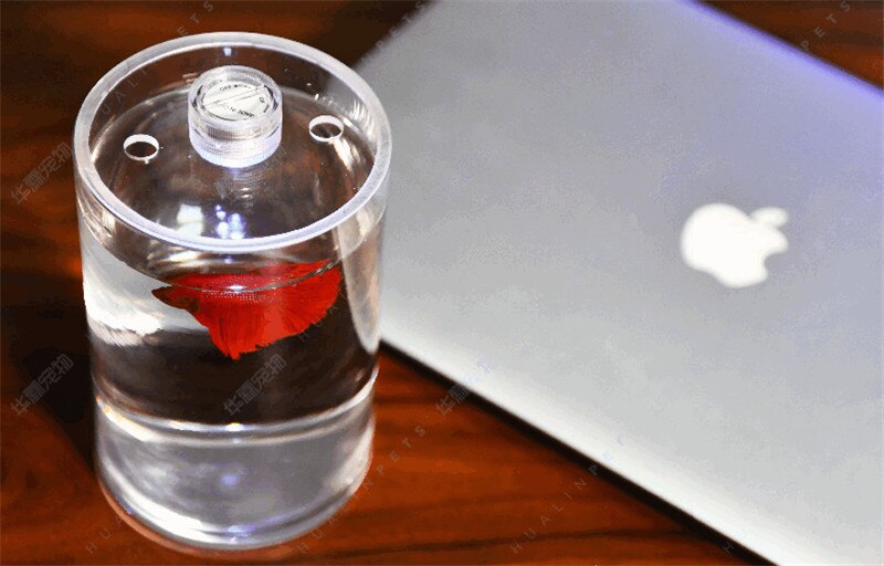 Desktop betta fish tank Mini live fighting fish tank Office desktop diy Small micro landscape HD glass