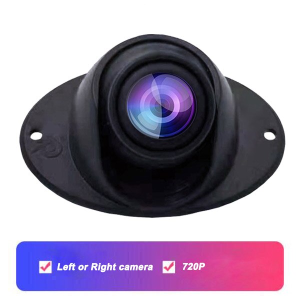 QUIDUX – caméra arrière FHD à Vision nocturne, avec câble de 6 mètres, pour véhicule, étanche, pour TZ107 et TZ076: Left camera