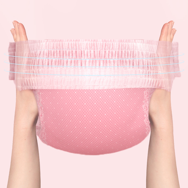 HOOPET 10pcs Disposable Dog Diapers Female Male Super Absorption Physiological Cat Pet Leakproof Nappies Pants Breathable: L