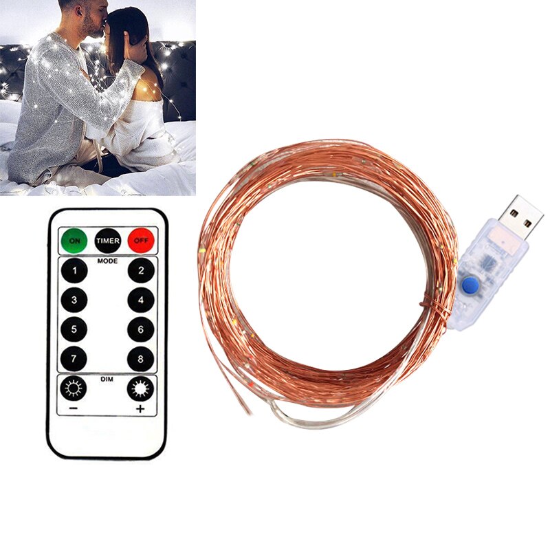 USB Firefly Bunch Lights Copper Wire 8 Modes Twinkle Lights with Remote Control DTT88
