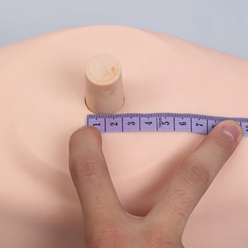 Female Mannequin Head Bust PVC Training Head Shoulders Manikin Wig Stand Holder Practice Bust for Display Hairstyles