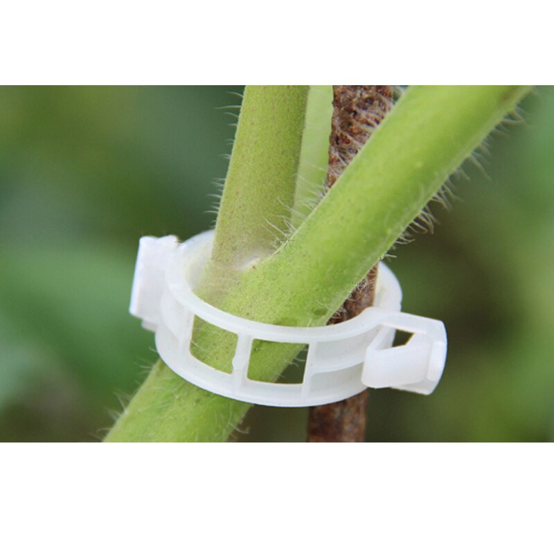 50/100 stk gjenbrukbare plast gjerder espalier porter planter hengende vintreet plante støtte klips hage drivhus hage ornament