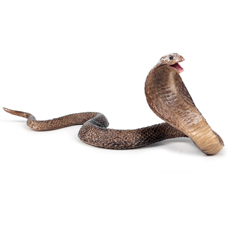 Realistic Simulation Rubber Snake Toy Garden lifelike Joke Prank Halloween: Coffee