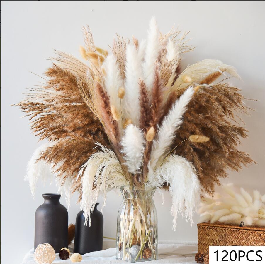 80 pz fiori secchi pampa codice di coniglio mazzo di erba floreale decorazioni per matrimoni conservare foglie di eucalipto canne decorazione vaso per la casa: Cielo Blu