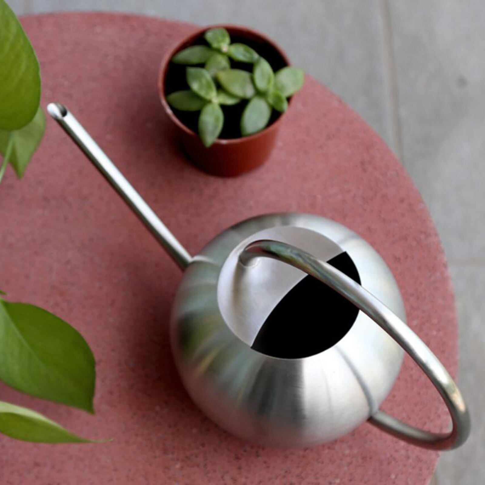 Garden Watering Can Long Spout Watering Pot Garden Water Can for Houseplants: Silver