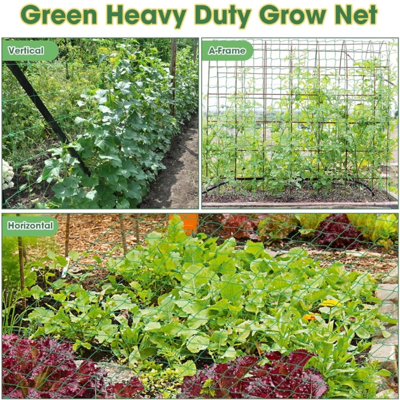 Rete a traliccio da giardino Rete supporto per piante per piante rampicanti Rete flessibile per esterni per fagioli, piselli,