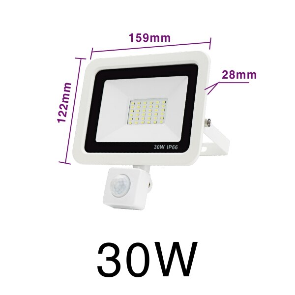 LED PIR Motion Sensor Floodlight AC220V Cold White Indoor Outdoor Spotlight IP66 Waterproof Courtyard Footpath Sensing Lighting: 30W Cold White