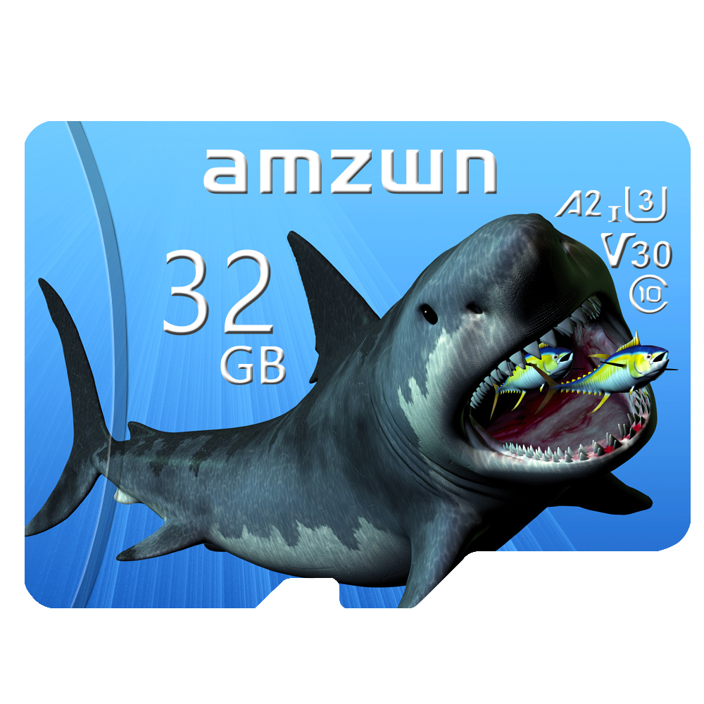 Karta pamięci Class10 wysoki prędkość mini SD karta 8GB 16GB 32GB 64GB 128GB 256GB TF Lampa błyskowa karta: 4GB