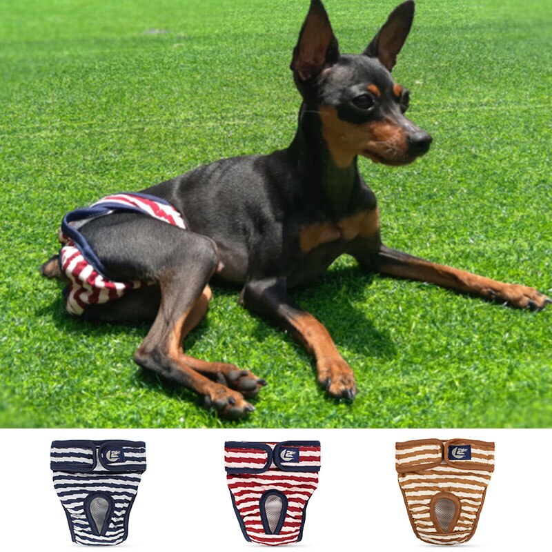 Hund Physiologischen Hosen Hunde frauen Belästigung kurze Hose Höschen für Weibliche Hunde Katzen Menstruation rutscht Unterwäsche Kleidung