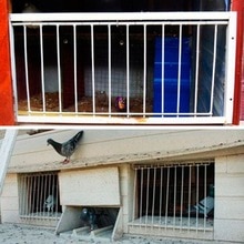 Puerta de Paloma, marco de barras de alambre de Metal, puertas de entrada, Loft, artículos para aves, Bar de entrada, cortina de pájaro, accesorios